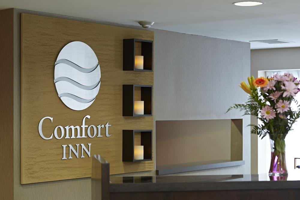 Comfort Inn Orillia Exteriér fotografie